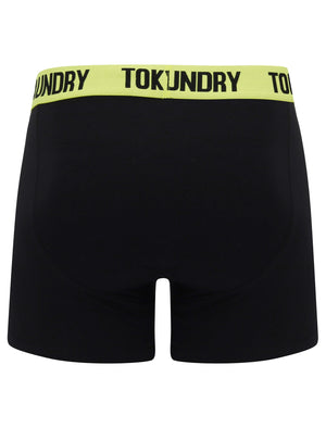 Nevern (2 Pack) Boxer Shorts Set in Green Glow / Rose Violet - Tokyo Laundry