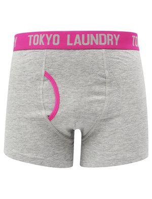 Nevern (2 Pack) Boxer Shorts Set in Green Glow / Rose Violet - Tokyo Laundry