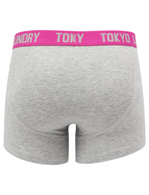 Nevern (2 Pack) Boxer Shorts Set in Green Glow / Rose Violet - Tokyo Laundry