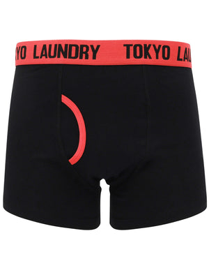 Nevern (2 Pack) Boxer Shorts Set in Paradise Pink / Blue Moon - Tokyo Laundry