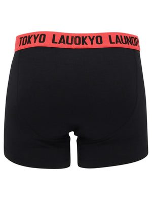 Nevern (2 Pack) Boxer Shorts Set in Paradise Pink / Blue Moon - Tokyo Laundry