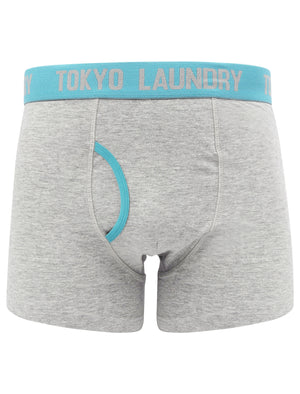Nevern (2 Pack) Boxer Shorts Set in Paradise Pink / Blue Moon - Tokyo Laundry