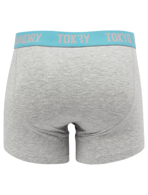 Nevern (2 Pack) Boxer Shorts Set in Paradise Pink / Blue Moon - Tokyo Laundry