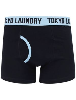 Newburgh (2 Pack) Striped Boxer Shorts Set in Placid Blue / Navy - Tokyo Laundry
