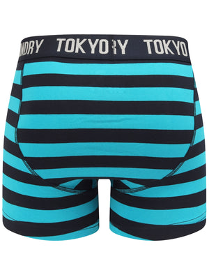 Newtown (2 Pack) Striped Boxer Shorts Set In Light Grey Marl / Algiers Blue - Tokyo Laundry
