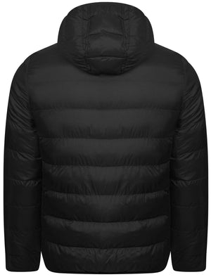 Nickleby Quilted Puffer Jacket with Hood in Black - Tokyo Laundry