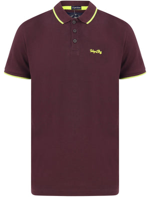 Talibu Cotton Pique Polo Shirt with Neon Tipping In Plum Perfect - Tokyo Laundry
