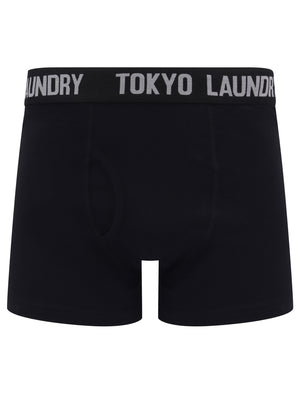 Oceana (2 Pack) Boxer Shorts Set in Barados Cherry / Light Grey Marl - Tokyo Laundry