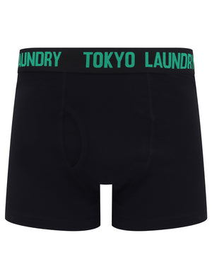 Oceana (2 Pack) Boxer Shorts Set in Jelly Bean Green / Light Grey Marl - Tokyo Laundry
