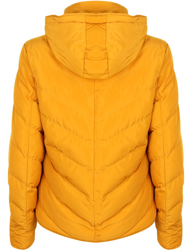 Oracle Chevron Quilted Hooded Puffer Jacket in Old Gold Tokyo Laundr Tokyo Laundry