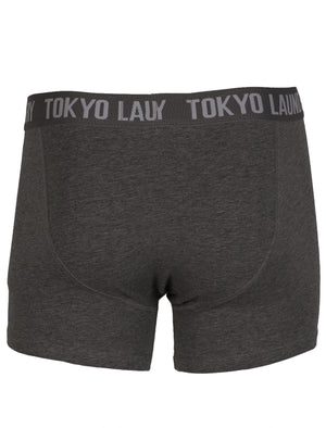 Tokyo Laundry Ortiz blue & charcoal boxer short’s