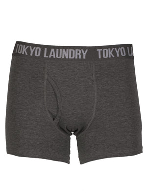 Tokyo Laundry Ortiz blue & charcoal boxer short’s
