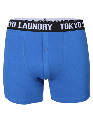 Perth Boxer Shorts in Ocean / Tokyo Red - Tokyo Laundry