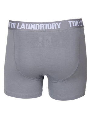 Port Douglas Boxer Shorts in Ashley Blue / Ice Grey Marl - Tokyo Laundry