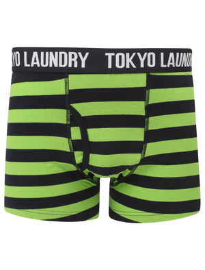 Railway (2 Pack) Striped Boxer Shorts Set in Laundered Green / Navy - Tokyo Laundry