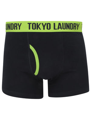 Railway (2 Pack) Striped Boxer Shorts Set in Laundered Green / Navy - Tokyo Laundry