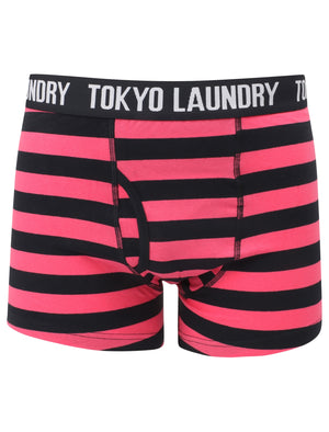 Railway (2 Pack) Striped Boxer Shorts Set in Shocking Pink / Navy - Tokyo Laundry