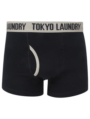 Railway (2 Pack) Striped Boxer Shorts Set in Light Grey Marl / Navy - Tokyo Laundry