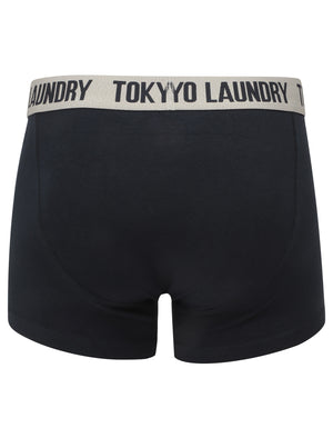 Railway (2 Pack) Striped Boxer Shorts Set in Light Grey Marl / Navy - Tokyo Laundry