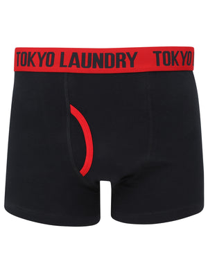 Railway (2 Pack) Striped Boxer Shorts Set in Tokyo Red / Navy - Tokyo Laundry