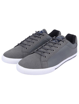Richmondy Perforated Faux Leather / Suede Low Top Lace Up Trainers in Grey - Tokyo Laundry