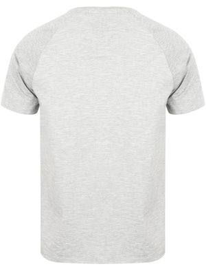 Rollingwood Raglan Sleeve Baseball T-Shirt In Light Grey Marl - Tokyo Laundry