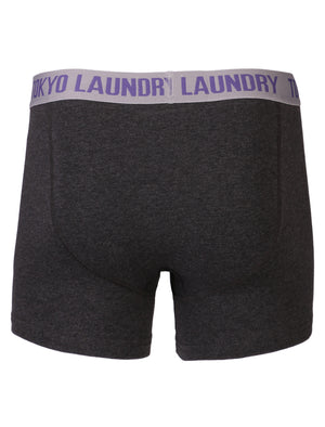 Tokyo Laundry Statham grey & charcoal boxer shorts ( 2 Pack)
