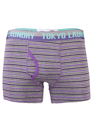 Tokyo Laundry Statham grey & charcoal boxer shorts ( 2 Pack)