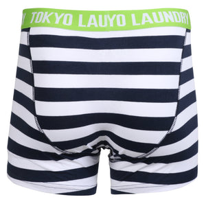 Sterndale (2 Pack) Striped Boxer Shorts Set in Optic White / Laundered Green - Tokyo Laundry
