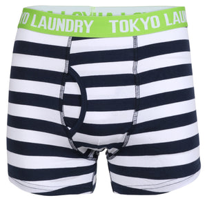 Sterndale (2 Pack) Striped Boxer Shorts Set in Optic White / Laundered Green - Tokyo Laundry