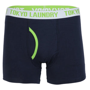 Sterndale (2 Pack) Striped Boxer Shorts Set in Optic White / Laundered Green - Tokyo Laundry