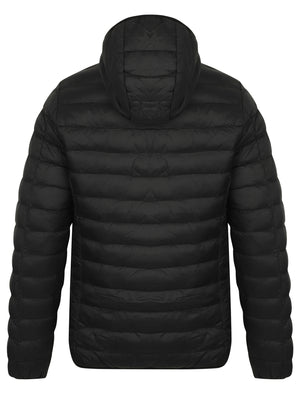 Talus Quilted Puffer Jacket with Hood in Black - Tokyo Laundry