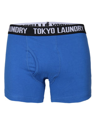 Tasmania Boxer Shorts in Ocean Blue / Black - Tokyo Laundry