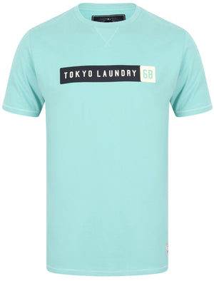 Timaru Cotton Jersey Crew Neck T-Shirt In Aqua Haze - Tokyo Laundry