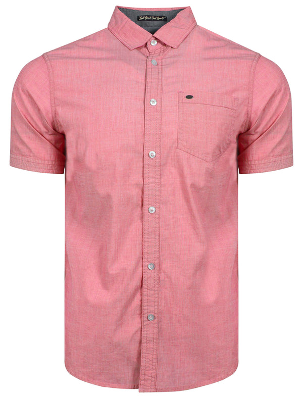 Valencia Short Sleeve Cotton Shirt in Peach - Tokyo Laundry