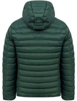 Vizzini Quilted Puffer Jacket with Hood in Pine Grove - Tokyo Laundry