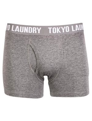 Tokyo Laundry Wainui Bay (2 Pack)  boxer shorts Black & Mid Grey Marl