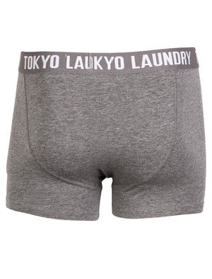 Tokyo Laundry Wainui Bay (2 Pack)  boxer shorts Black & Mid Grey Marl