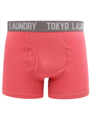 Warner (2 Pack) Boxer Shorts Set In Baroque Rose / Mid Grey Marl - Tokyo Laundry