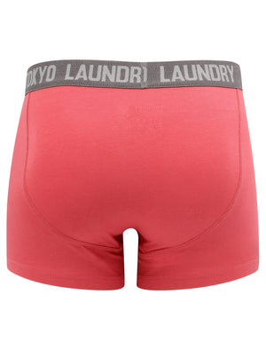 Warner (2 Pack) Boxer Shorts Set In Baroque Rose / Mid Grey Marl - Tokyo Laundry
