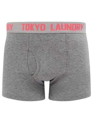 Warner (2 Pack) Boxer Shorts Set In Baroque Rose / Mid Grey Marl - Tokyo Laundry
