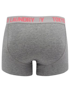 Warner (2 Pack) Boxer Shorts Set In Baroque Rose / Mid Grey Marl - Tokyo Laundry