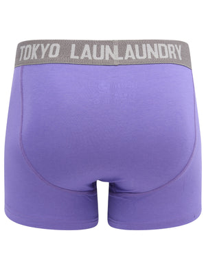 Warner (2 Pack) Boxer Shorts Set In Purple Opulence / Mid Grey Marl - Tokyo Laundry