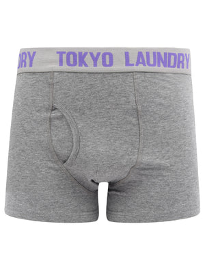 Warner (2 Pack) Boxer Shorts Set In Purple Opulence / Mid Grey Marl - Tokyo Laundry