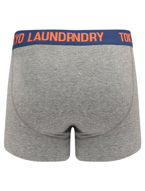 Warwick (2 Pack) Boxer Shorts Set In Estate Blue / Mid Grey Marl - Tokyo Laundry