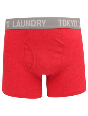 Warwick (2 Pack) Boxer Shorts Set In Red Marl / Dark Grey Marl - Tokyo Laundry