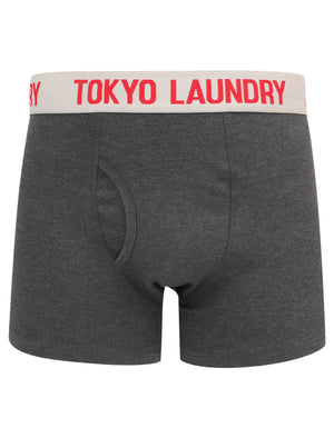 Warwick (2 Pack) Boxer Shorts Set In Red Marl / Dark Grey Marl - Tokyo Laundry
