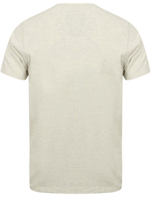 Westby Short Sleeve T-Shirt in Oatgrey Marl - Tokyo Laundry
