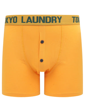 Wetherby (2 Pack) Boxer Shorts Set In Dark Green / Artisans Gold - Tokyo Laundry