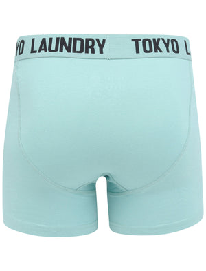 Whitham 2 (2 Pack) Boxer Shorts Set in Aqua Haze / Jet Black - Tokyo Laundry